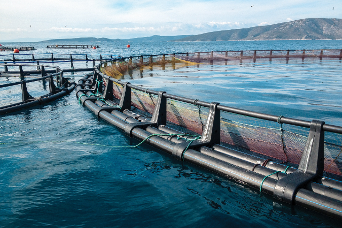 Instalación de acuicultura en el océano, utilizada para la medición de oxígeno disuelto en sistemas acuáticos